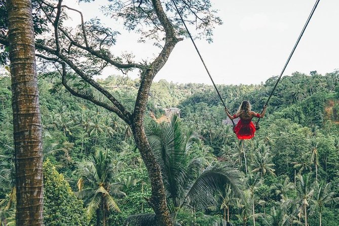 Bali Instagram Tour from Your Hotel (Private & Full-day) - The early run to Lempuyang Temple