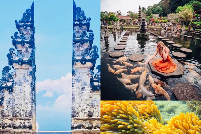Bali Instagram Tour: The Most Popular Spots ( Private All-Inclusive ) - Tirta Gangga’s ponds, fountains, and gardens