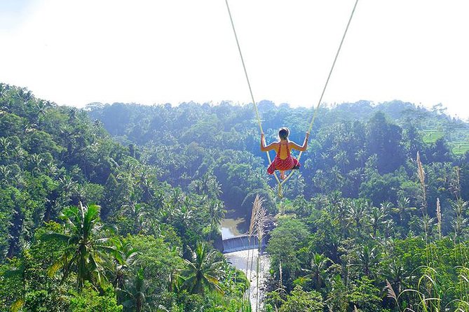 Bali Jungle Swing and White Water Rafting All Inclusive - Key points to know before you book