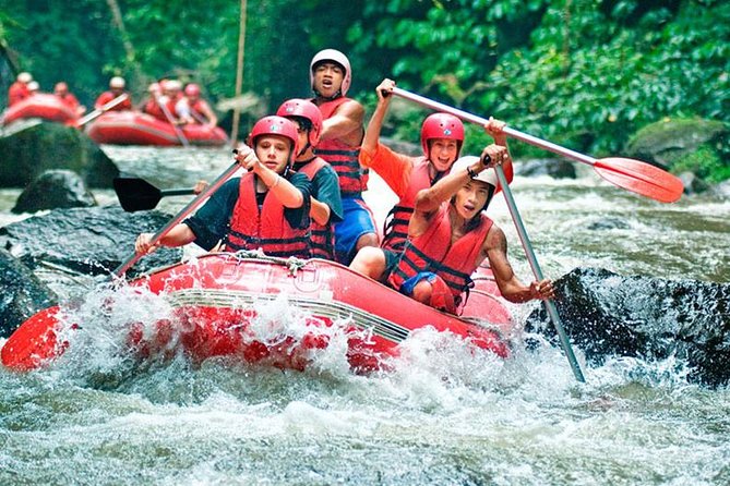Bali Jungle Swing and White Water Rafting All Inclusive - A full day of Bali’s two most photogenic thrills