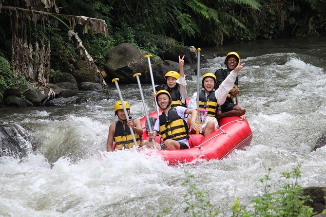 Bali Jungle Swing and White Water Rafting All Inclusive - Lunch and the coffee and tea tasting