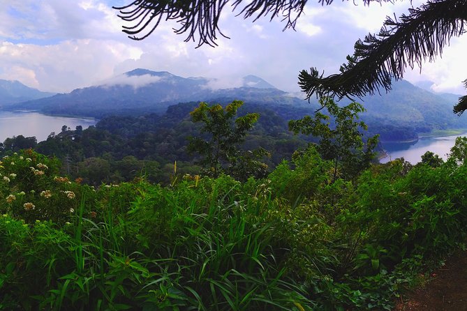 Bali Jungle Trekking and Lake Canoeing Tour - Why this North Bali day feels different