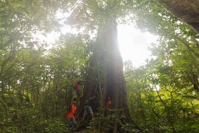 Bali Jungle Trekking and Lake Canoeing Tour - Guides, vehicles, and group size