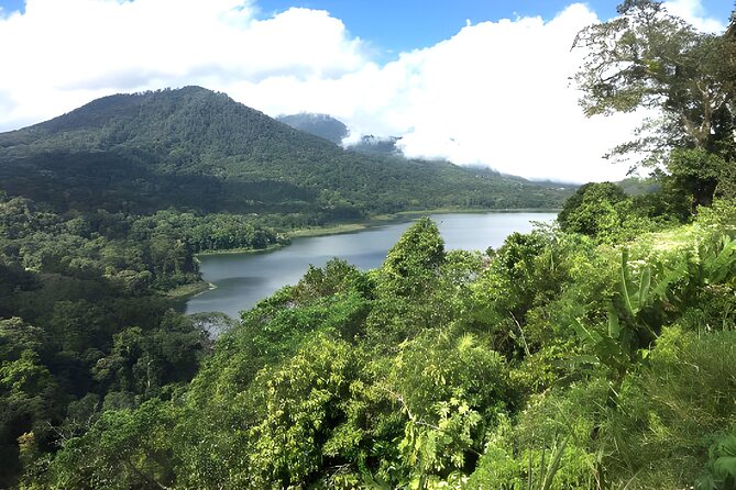 Bali Jungle Trekking in Beautiful Rainforest - Walking With a Private Jungle Guide