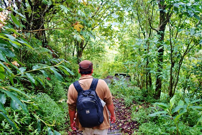 Bali Jungle Trekking in Beautiful Rainforest - Who Will Enjoy This North Bali Day?