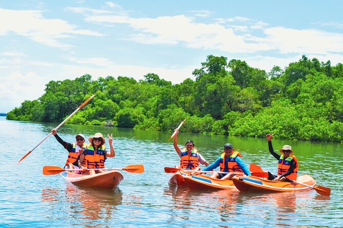 Bali Mangrove Canoeing Tour - Why Bali’s mangrove forest makes a good morning outing