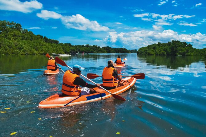 Bali Mangrove Canoeing Tour - How much value does the $61.54 price offer?
