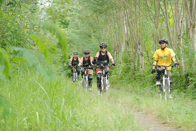 Bali Mountains and Villages Cycling Tour - Starting high above Bali’s busy south