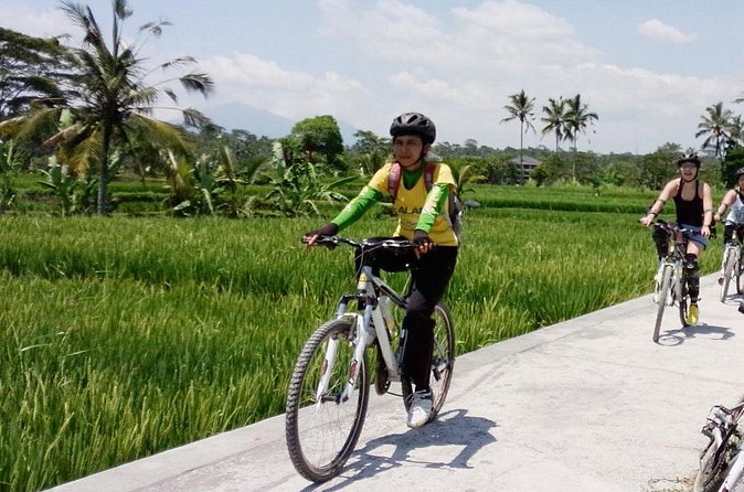 Bali Mountains and Villages Cycling Tour - Rice fields, plantations, and rainforest tracks