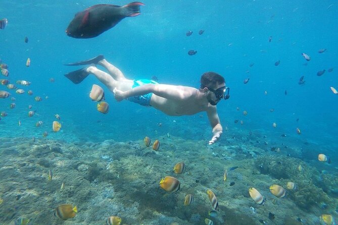 Bali Nusa Penida and Private Snorkeling (Manta Bay, Gamat, Wall) - Manta Bay: the main reason many people book