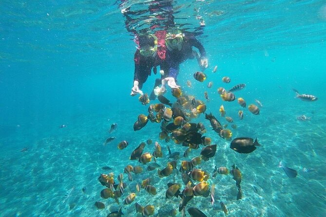 Bali Nusa Penida and Private Snorkeling (Manta Bay, Gamat, Wall) - Gamat Bay for coral and fish