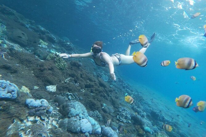 Bali Nusa Penida and Private Snorkeling (Manta Bay, Gamat, Wall) - Wall Bay Point and the final swim