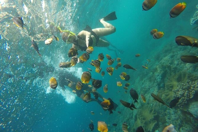 Bali Nusa Penida and Private Snorkeling (Manta Bay, Gamat, Wall) - Transport that saves planning time