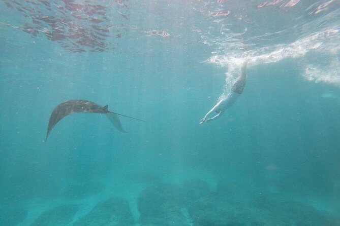 Bali Nusa Penida and Private Snorkeling (Manta Bay, Gamat, Wall) - Angel’s Billabong and the natural rock pool