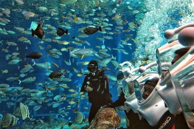 Bali Ocean Walker - The helmet makes this easier than snorkeling