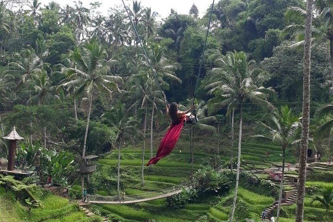 Bali Private 3 Days Tour Package Highlight - Should you book it?