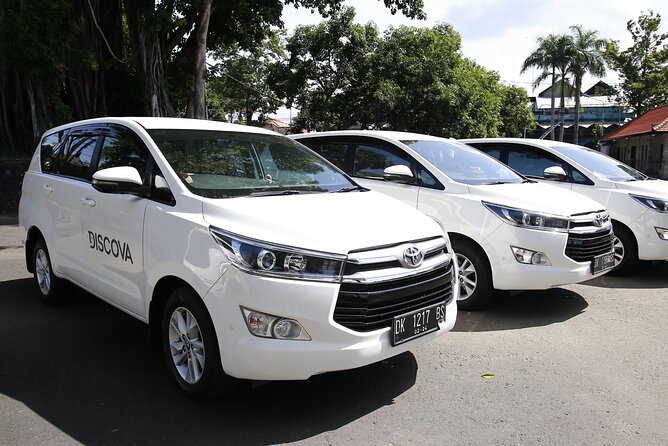 Bali Private Arrival Transfer: From Bali Airport to Bali Hotel - Who will appreciate this transfer most?