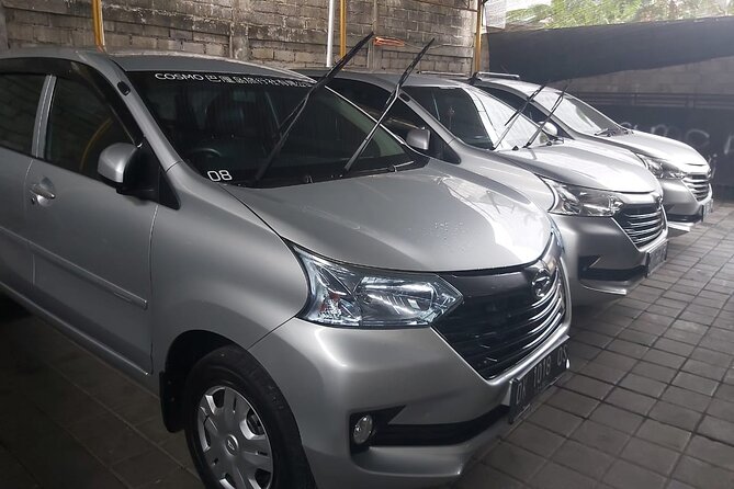 Bali Private Car Charter - Remote destinations and waterfall plans