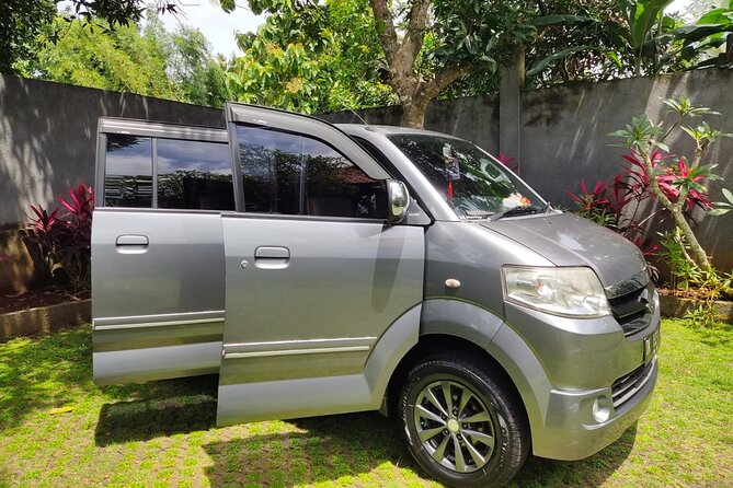 Bali Private Car Charter & Customize Tour With Driver English Speaking-Free WiFi - Art villages and central Ubud sights