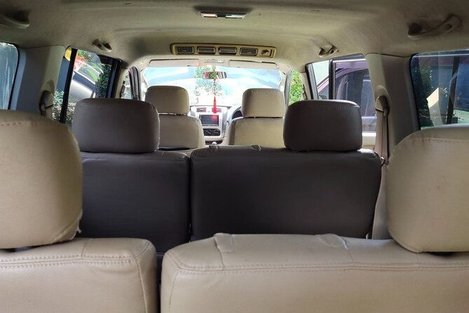 Bali Private Car Charter & Customize Tour With Driver English Speaking-Free WiFi - What the driver adds to the day