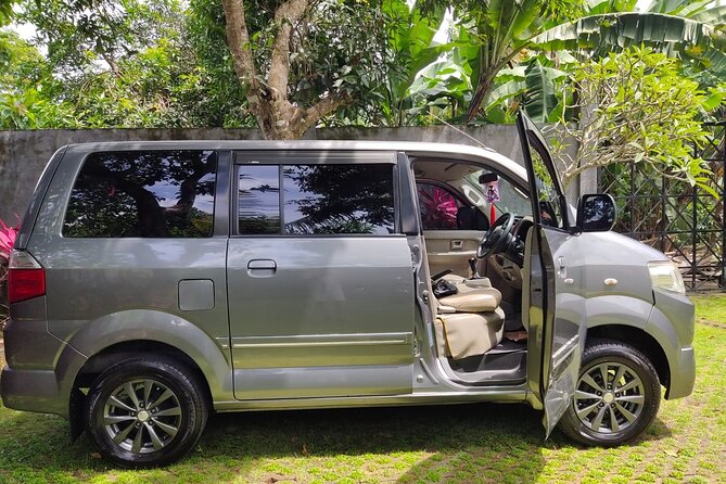Bali Private Car Charter & Customize Tour With Driver English Speaking-Free WiFi - Who should book this charter?
