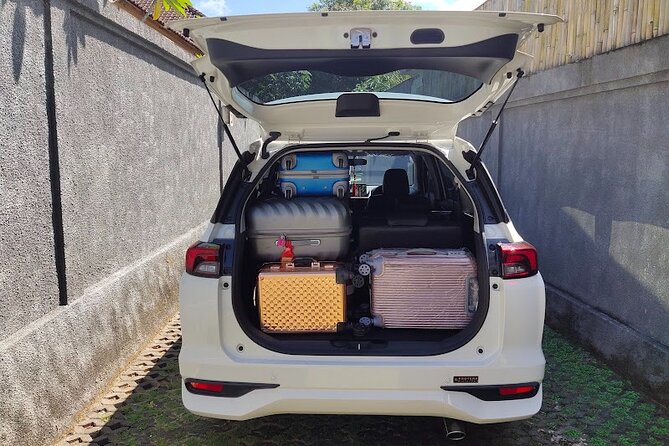 Bali Private Car Charter & Customize Tour With Driver English Speaking-Free WiFi - The far-reaching stops that need a separate day