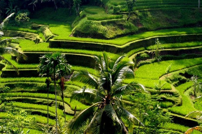 Bali Private Car Charter with English Speaking Driver - East Bali and its temple circuit