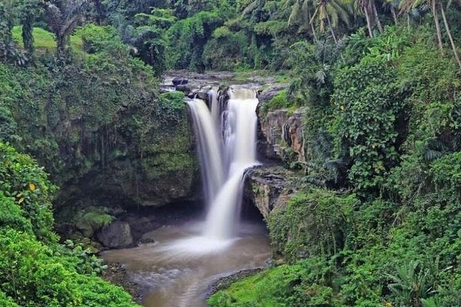 Bali Private Car Charter with English Speaking Driver Or Guide - Planning a smart day from Seminyak
