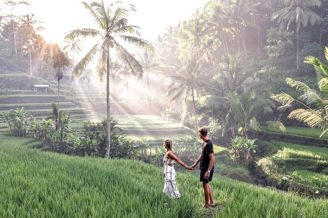 Bali Private Car Charter with English Speaking Driver Or Guide - The vehicle and group-size question