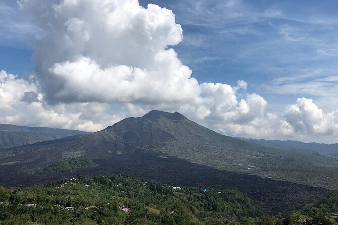 Bali Private Car Charter With English Speaking Driver To Ubud Area - The craft villages: batik, silver, paintings, and carving