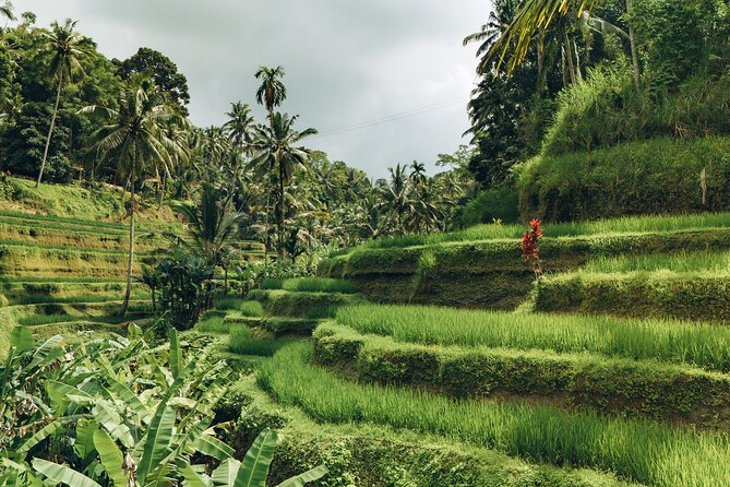 Bali Private Car Full Day Customized Tour With Drone Service - Mountain and village stops in central Bali