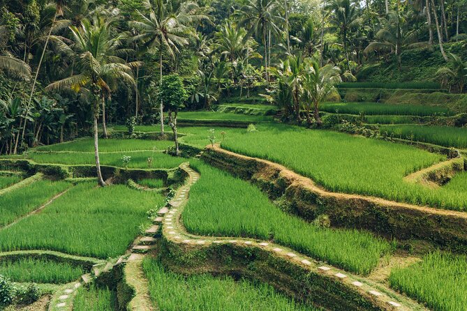 Bali Private Car Full Day Customized Tour With Drone Service - Southern Bali: cliffs, seafood, and sunset-style scenery
