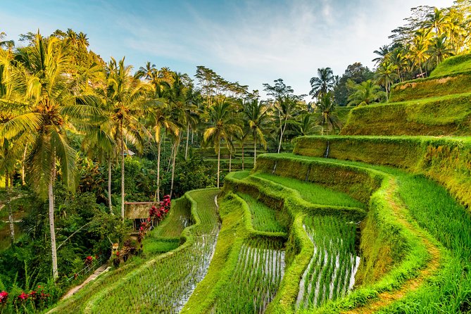 Bali Private Car Hire with Driver - Southern Bali temples, beaches, and sea views