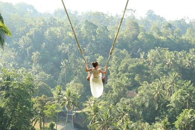 Bali Private Car Hire with English-Speaking Driver - What the car service includes
