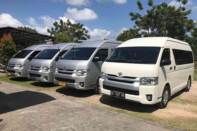 Bali Private Car Hire with English-Speaking Driver - Who should book this Bali charter