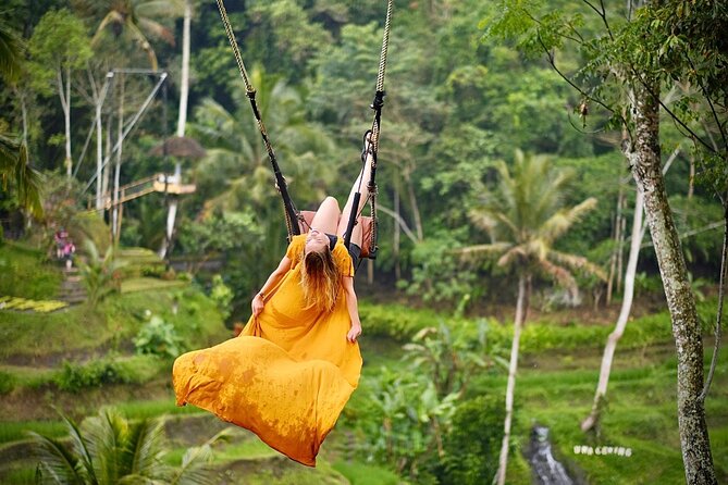 Bali Private Car Hire with English-Speaking Driver - Tegenungan Waterfall and a chance to swim