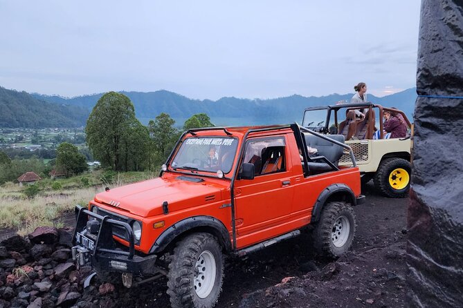 Bali Private Custom Tour - What is included for $32