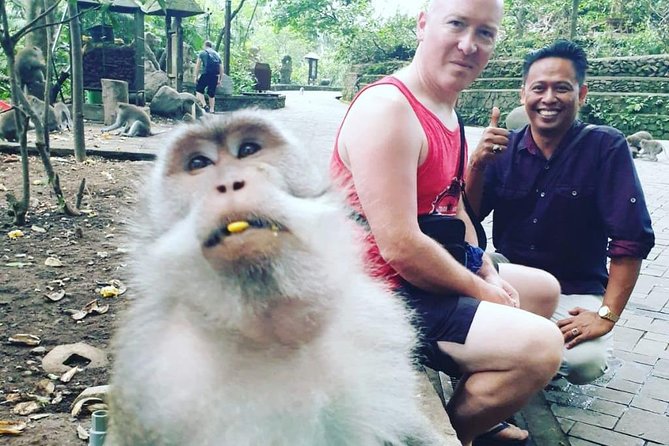 Bali Private Custom Tour - Bali Car Hire with Driver - Temple visits with room to set your own pace