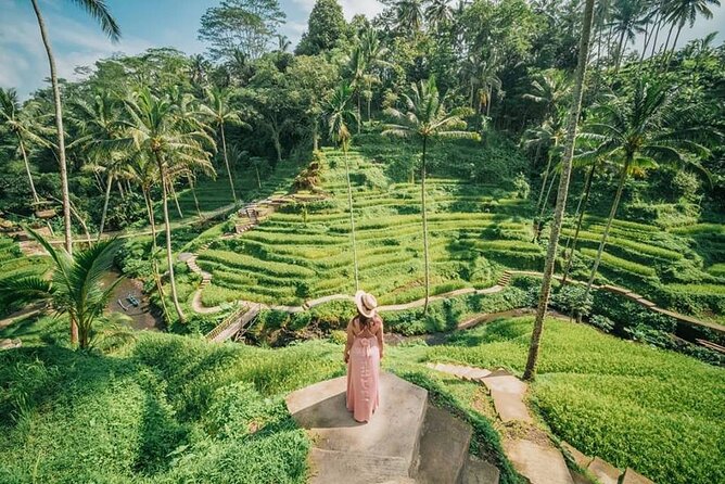 Bali Private Driver - Bali customized private tour - The car, comfort, and group size
