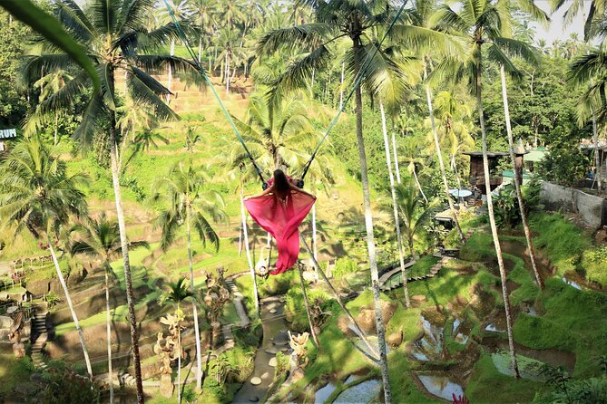 Bali Private Full Day Tour to Visit the Best Waterfalls and Swing near Ubud - The Swing Stop Adds More Than a Photograph