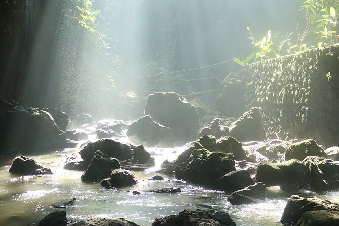 Bali Private Full Day Tour to Visit the Best Waterfalls and Swing near Ubud - Tegalalang Rice Terrace in a Short Visit