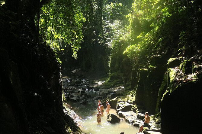 Bali Private Full Day Tour to Visit the Best Waterfalls and Swing near Ubud - Bali Pulina Coffee Plantation and a Free Included Visit
