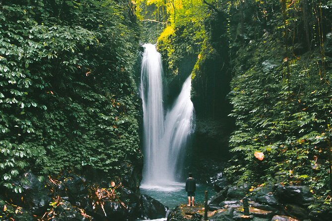 Bali : Private Fullday trip, Discover North Bali Destination - Banyumala Twin Waterfalls: the day’s best nature stop