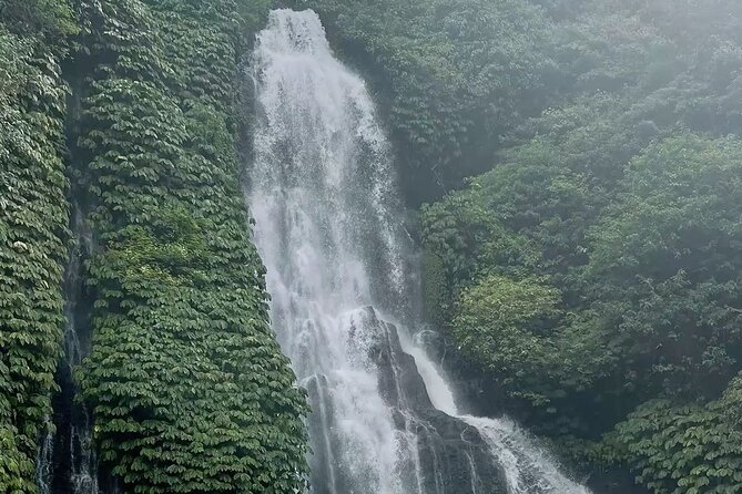 Bali : Private Fullday trip, Discover North Bali Destination - Banyuwana and the choice between more stops or more time