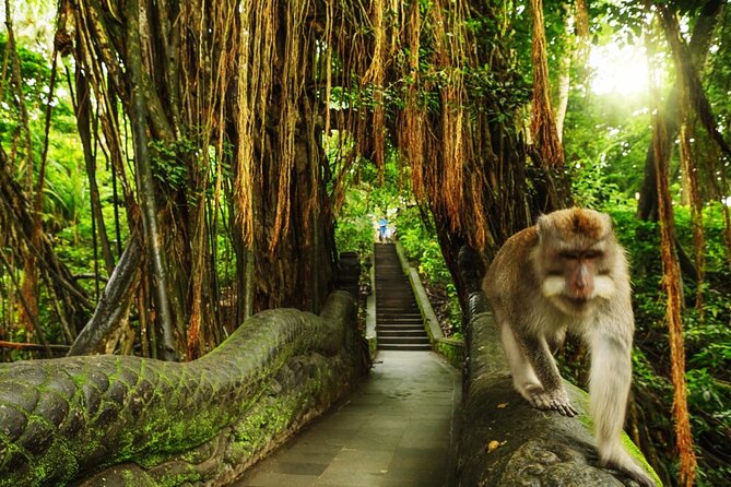 Bali Private inclusive tour: Best of Ubud in a Day - What the private car adds to the day