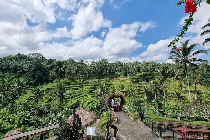 Bali Private inclusive tour: Best of Ubud in a Day - The $48.11 price and the ticket question