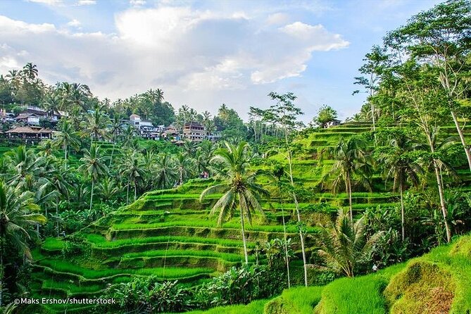 Bali Private inclusive tour: Best of Ubud in a Day - Batuan Temple and Bali’s temple traditions