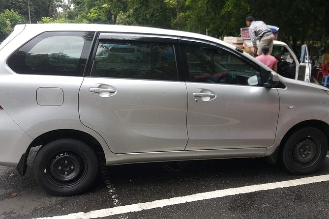 Bali Private Tour - Car with Driver - Practical details that affect your decision