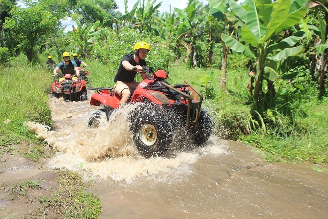 Bali Private Tour Guide And Driver - What the $32 price really covers