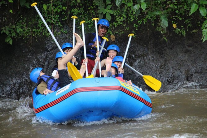 Bali Private Tour Guide And Driver - The guide’s style and language